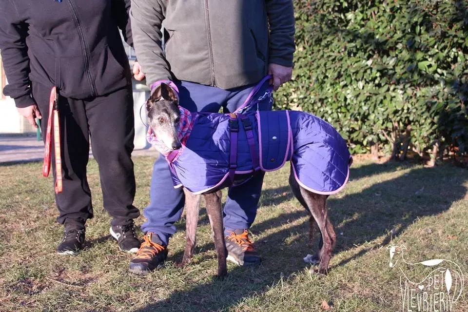 59698961 7D31 445E 9F1B 47D06D08BE96