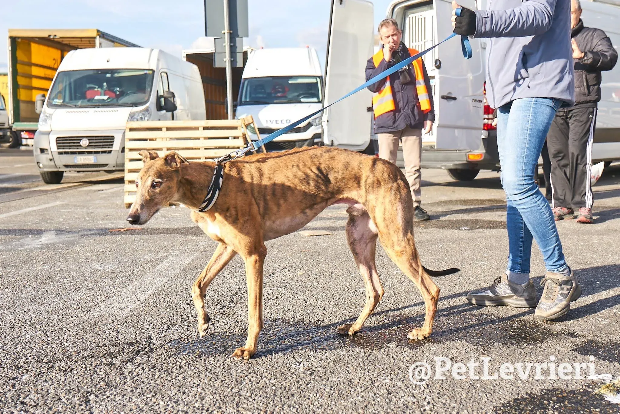 59791D38 77AD 4B75 A337 B4F8A6CC8B36