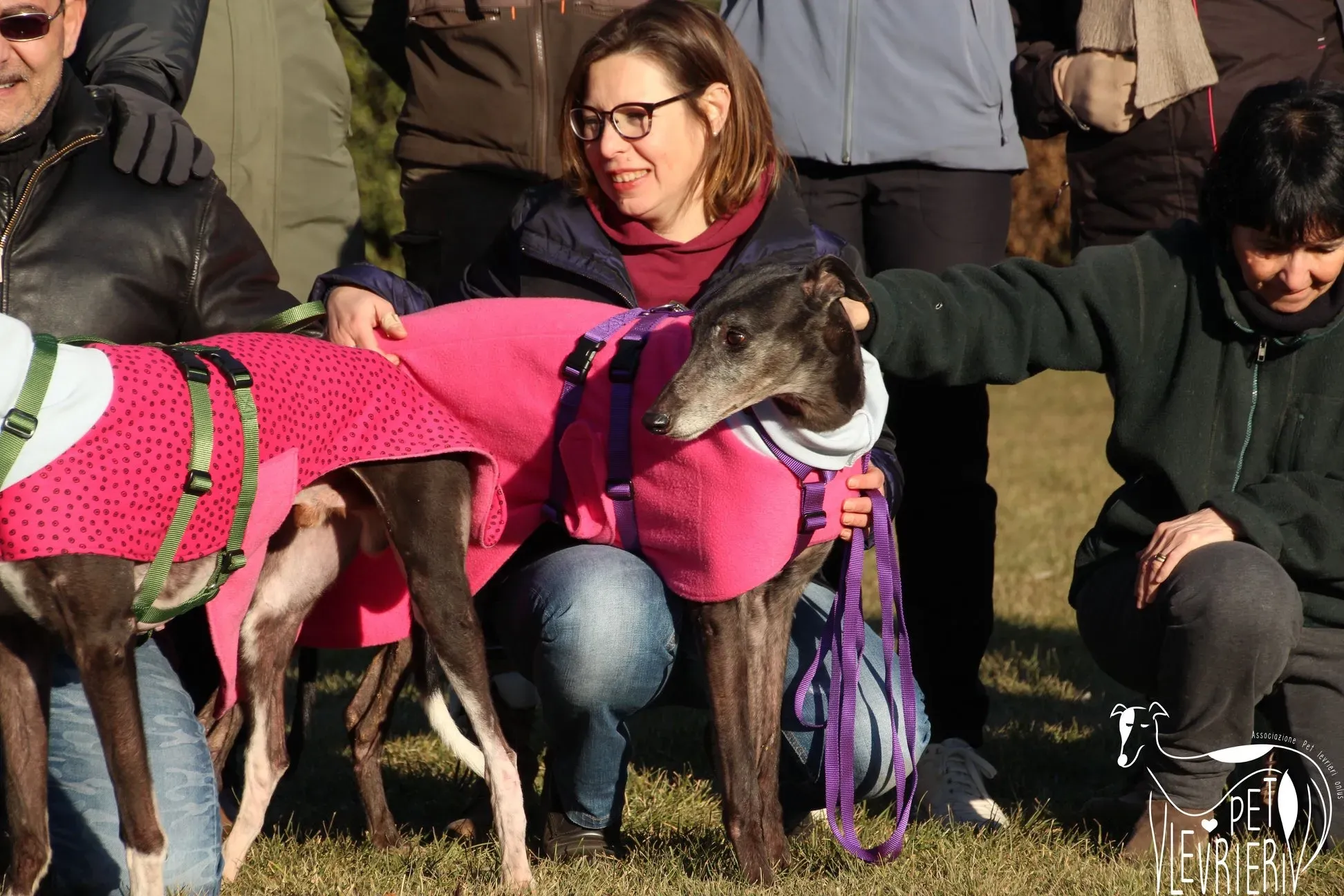 5CCCCDB8 CC01 477E ADF7 F1C40FEBB0B1