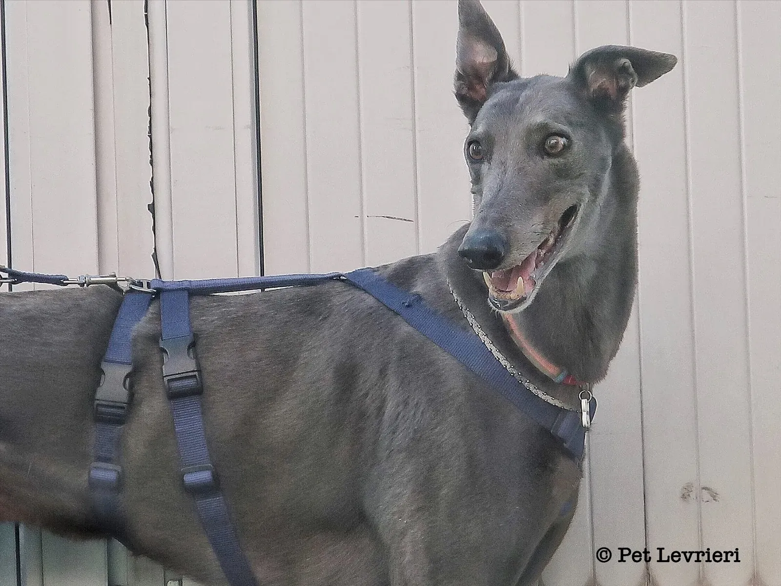 5D44055D F9DE 4EFA 9242 013B340435DD