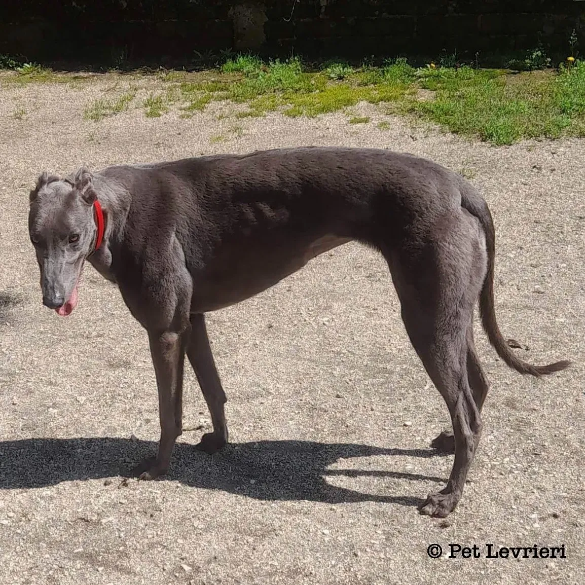 5D81EC14 66EC 4EBC B936 19FF05A893F7