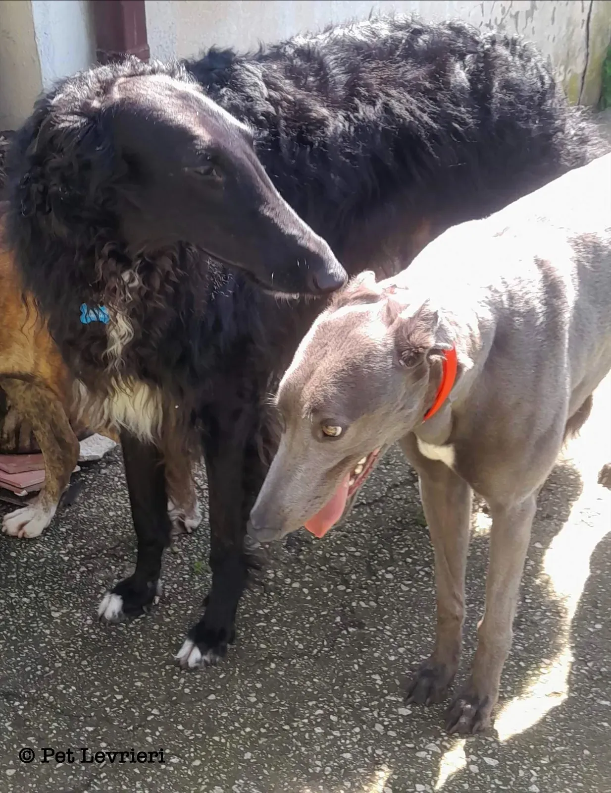 5F9E4BCA F519 4968 AC1E 60657056EA32