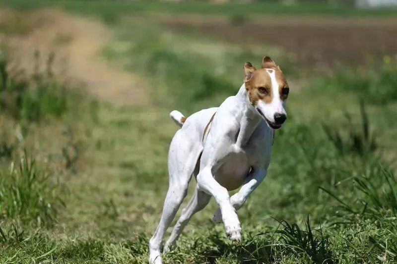 5VIAisF26 cLqjZnxdp8KU6DOjCYxsJnWm92o0OpXw4