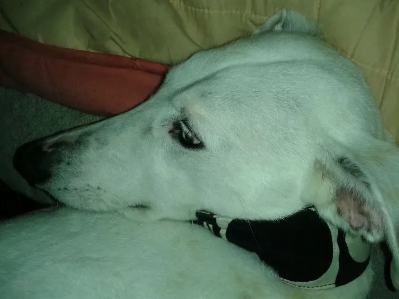 5a9f22bd86c484591c64f3536d8d58c0