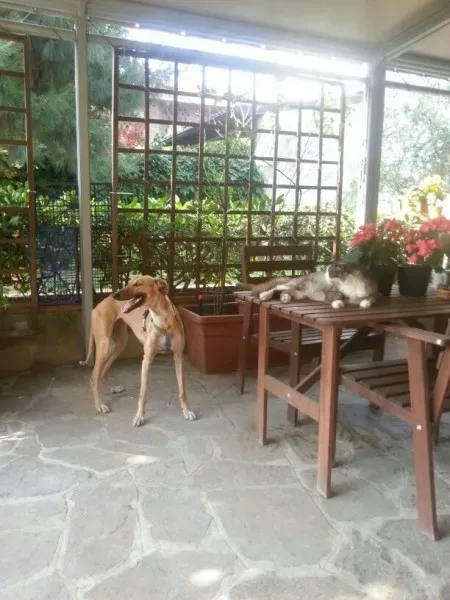 5b26388462b3bf50af2eb02c390c1c6c