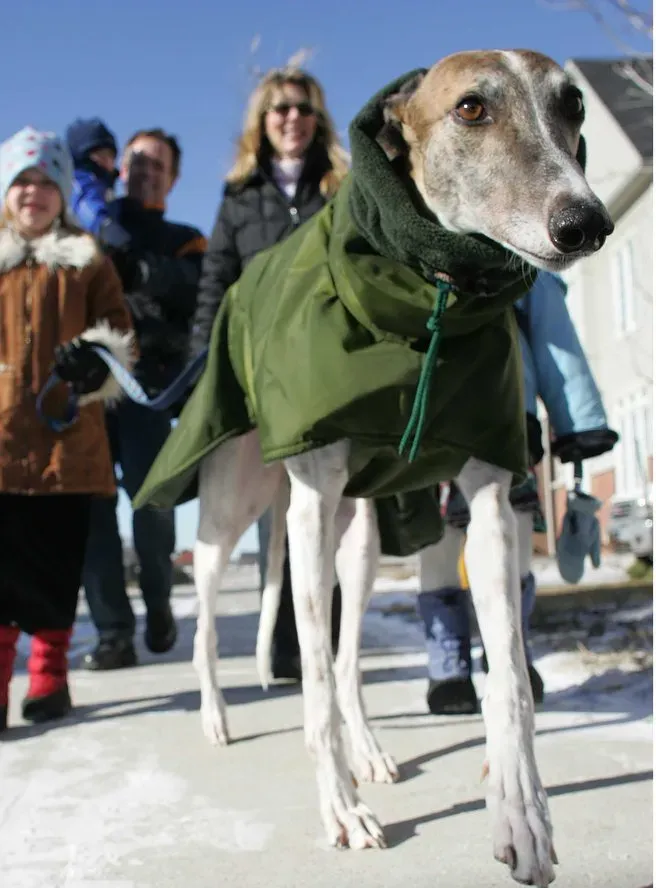 5eee38e1d773437b08bc37cb22edcdf2 69899