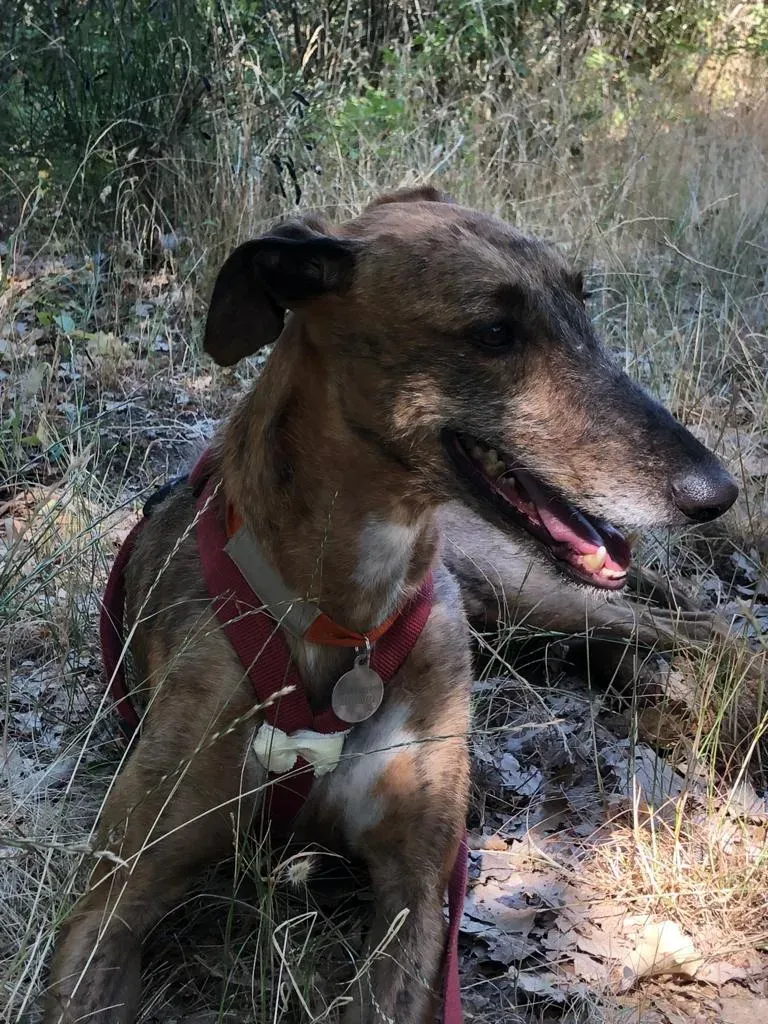 5f8a993a bd59 4f37 aba3 b9e7beed40ba