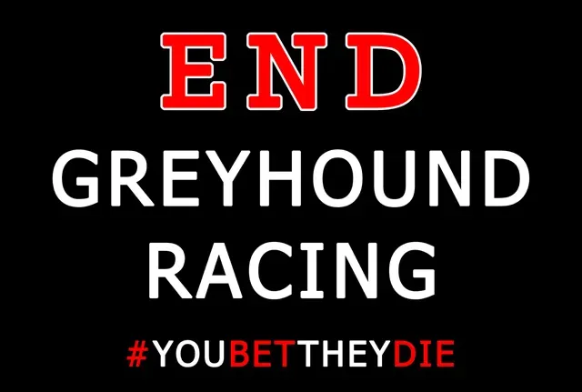 6. end greyhound racing small