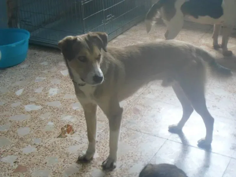 603432 10201075078941574 871128560 n