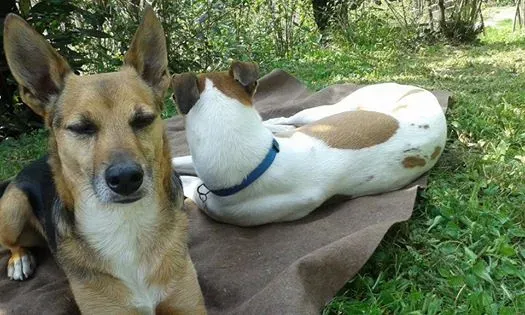 603624 10202892217017791 7924498442594475680 n