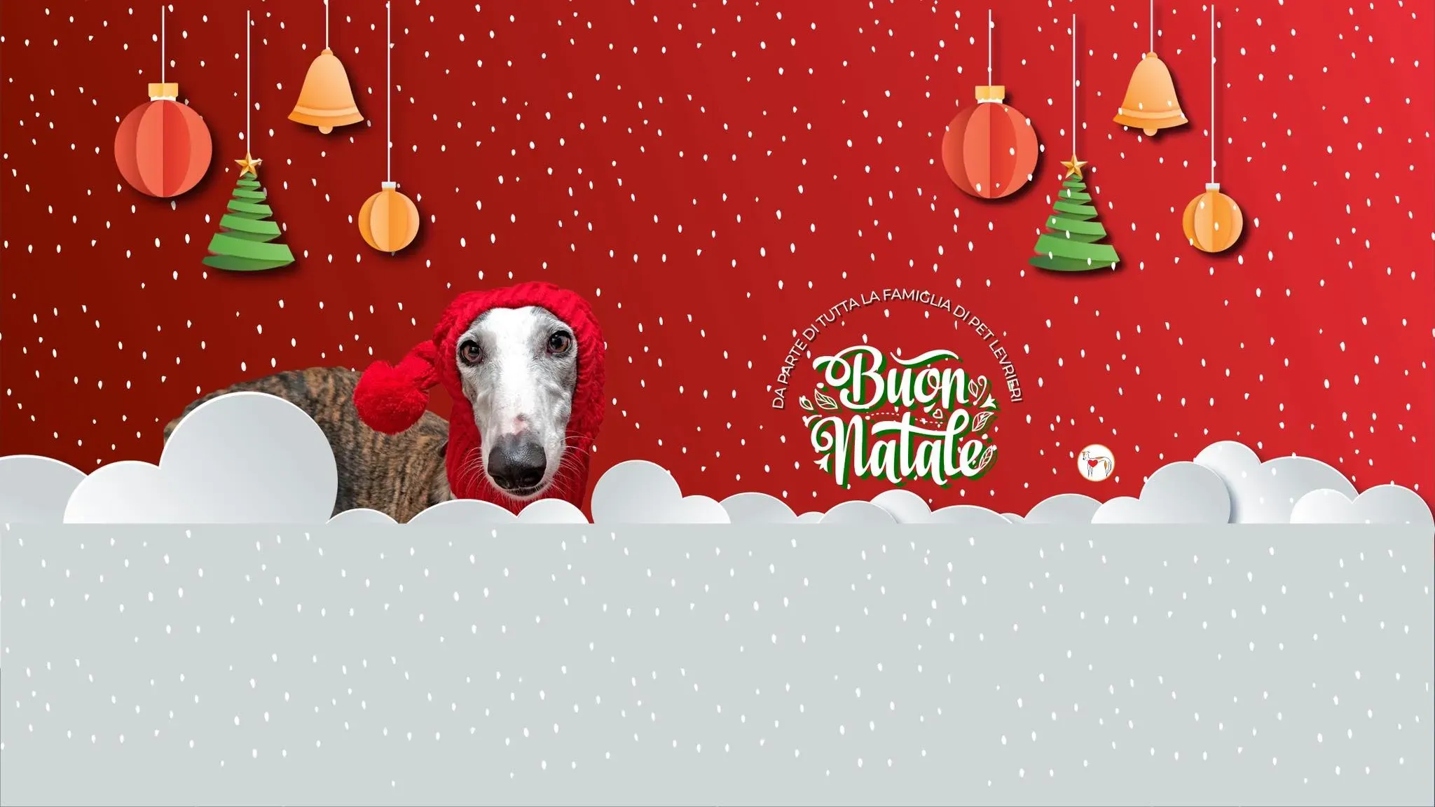 603958256 882085467550195 1982125478040386953 n