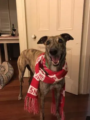 609ef36a50b5df9dd3c36d826f00f7fe