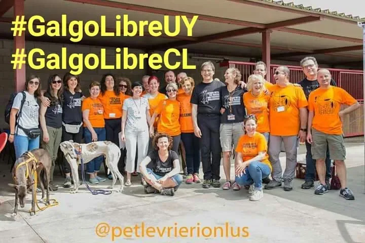 61438141 2276935139056995 7284823429520293888 n