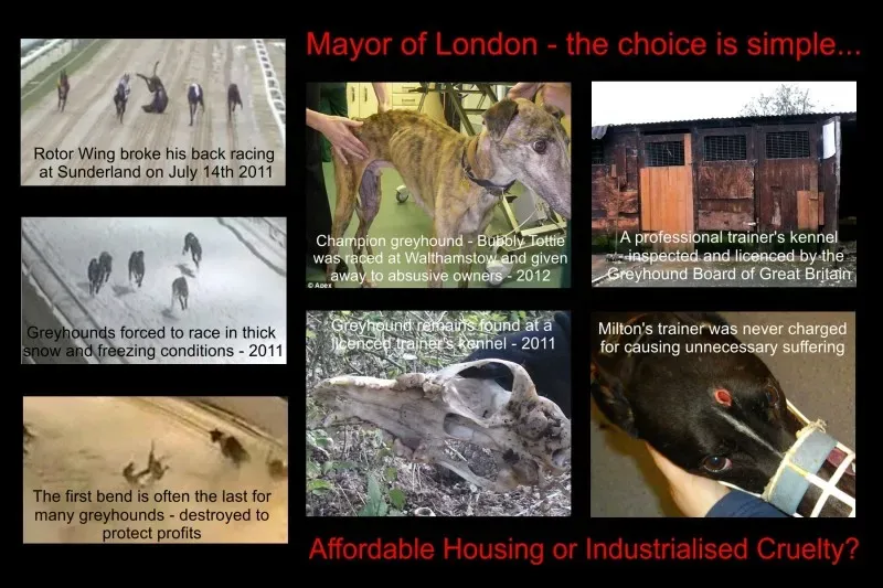 615466 430262247026946 993099223 o