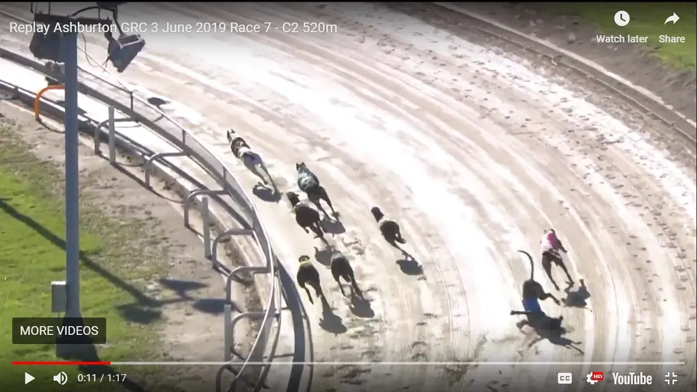 62067442 2808636715831815 5853988777466265600 o