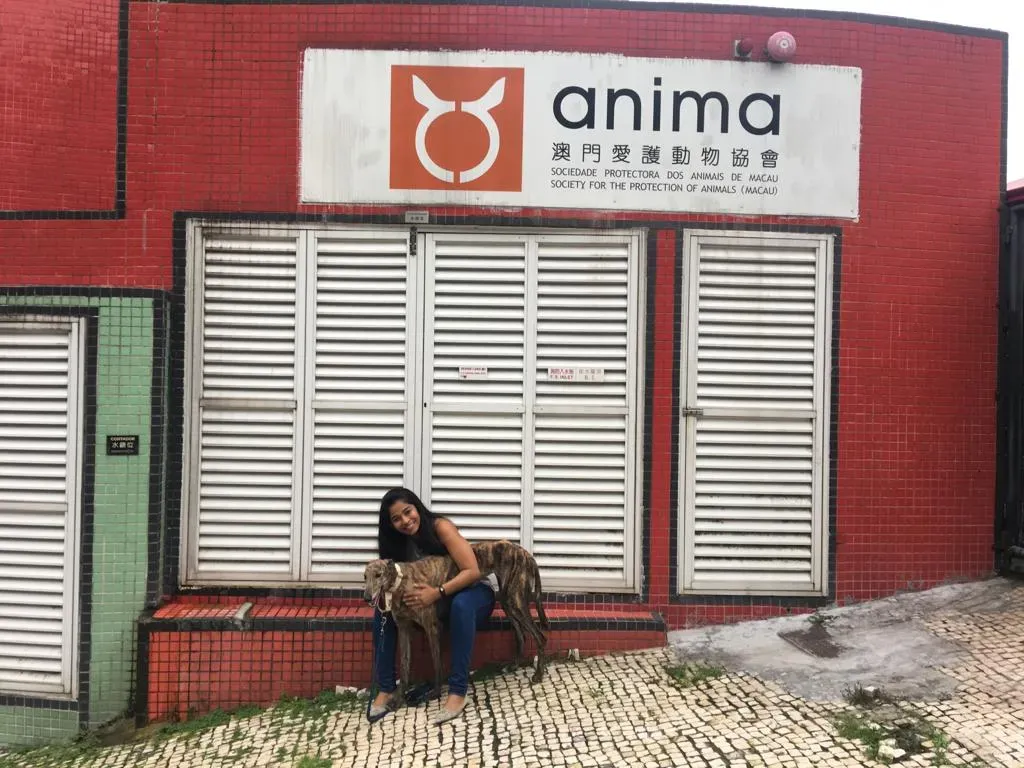 62085364 2014925421975477 1191802924414533632 o