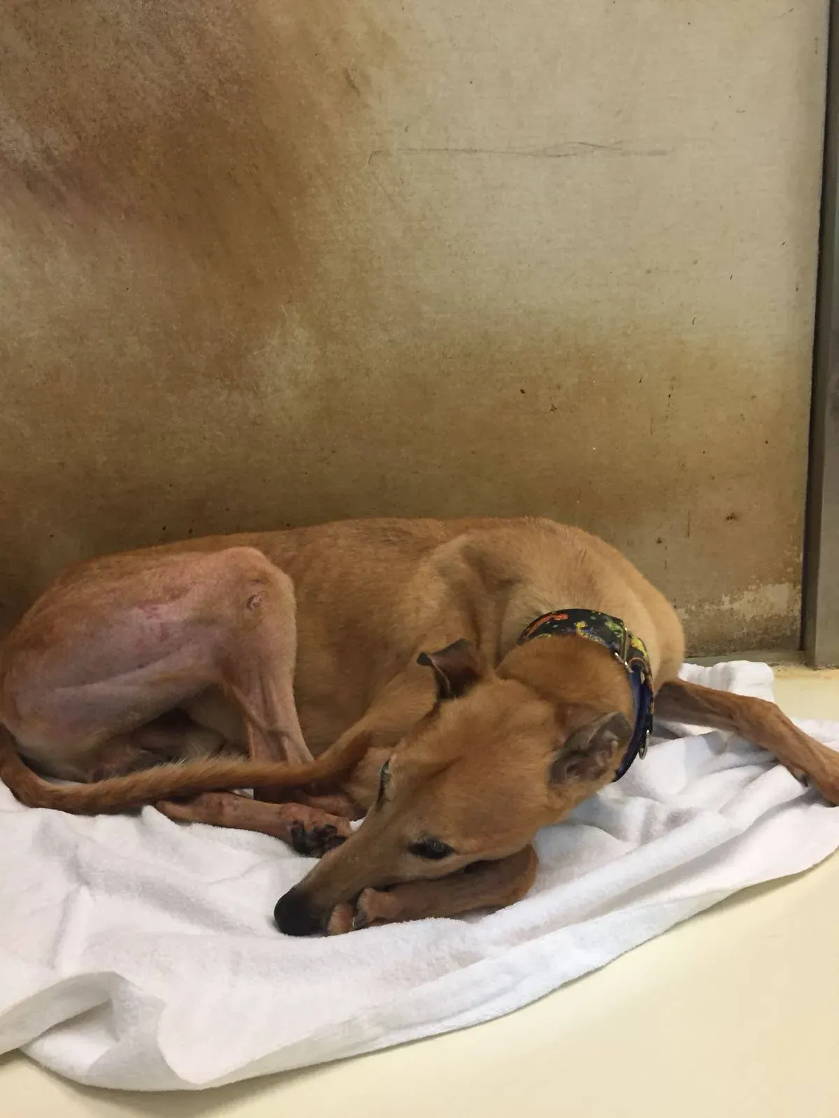 62254096 2014925581975461 3853449275061043200 o