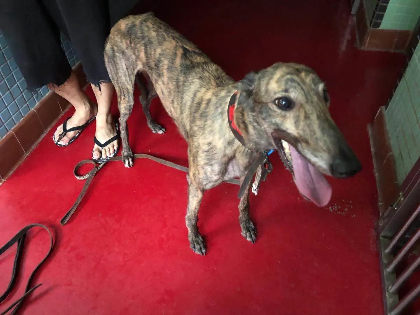 62254102 2014925431975476 7051958922730536960 o