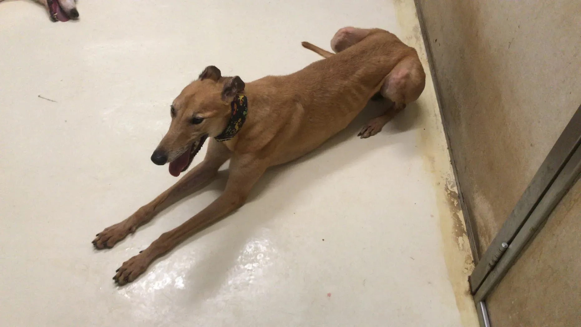 62333511 2014925605308792 8914060715673780224 o