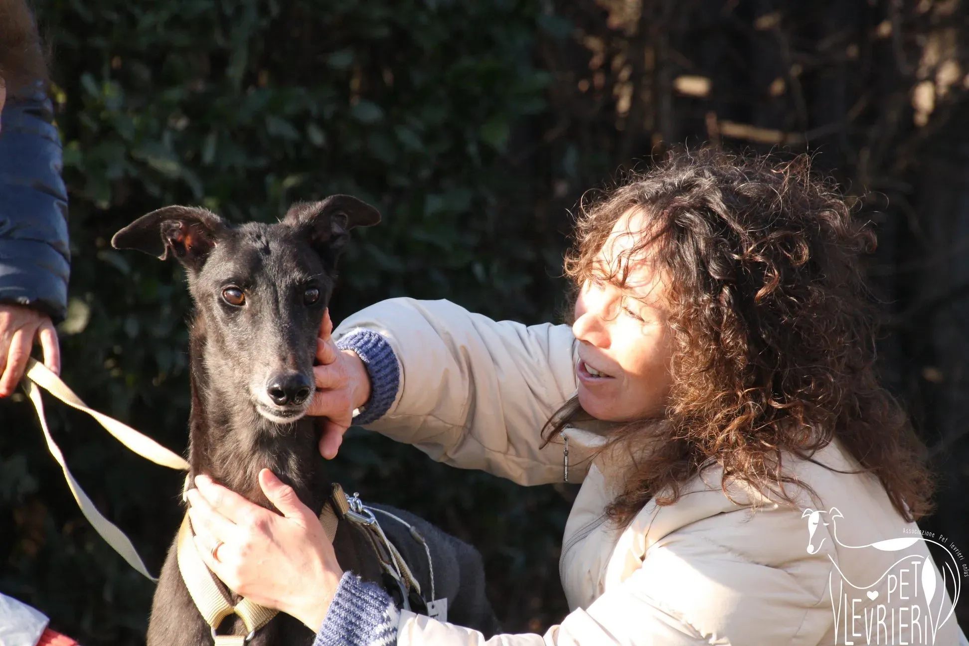 641197AE 5386 4B0E 8BB3 F95477627FCA