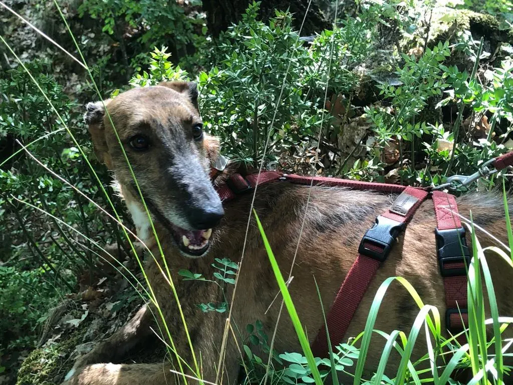 6421877b 0106 4ebe af36 ef28ae012ece