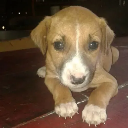 64360028 359358174768027 6498081825729019904 n 3