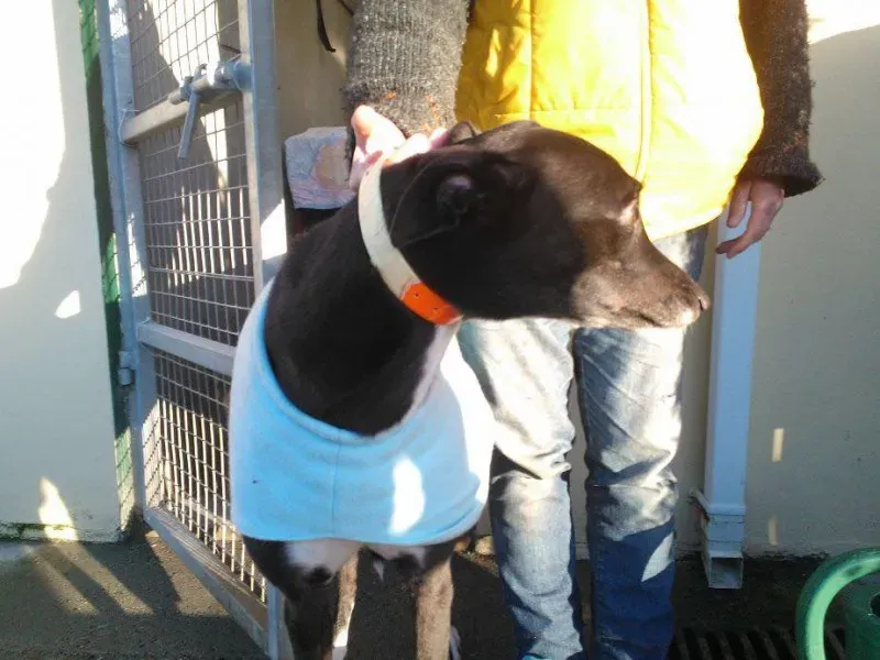 64394 735162046567653 5643449742914189325 n