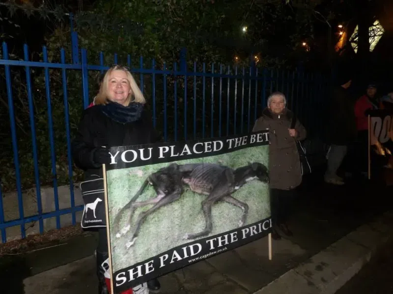 64777 904662346245245 6058272330680006342 n