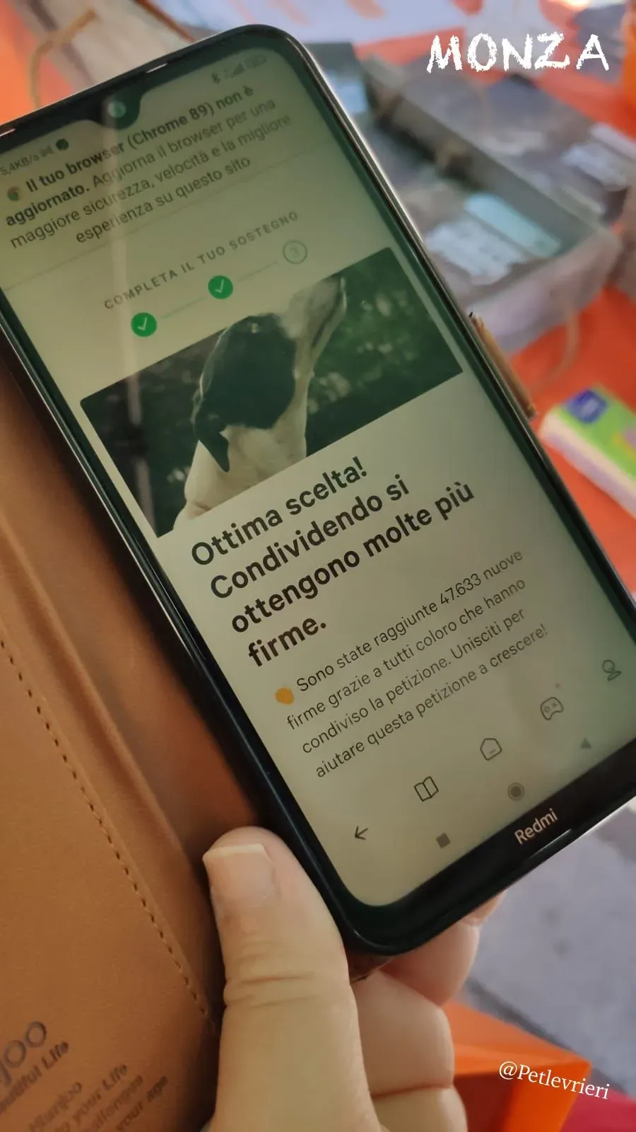 648baaf6 270e 487b a985 f41ca804e79c risultato