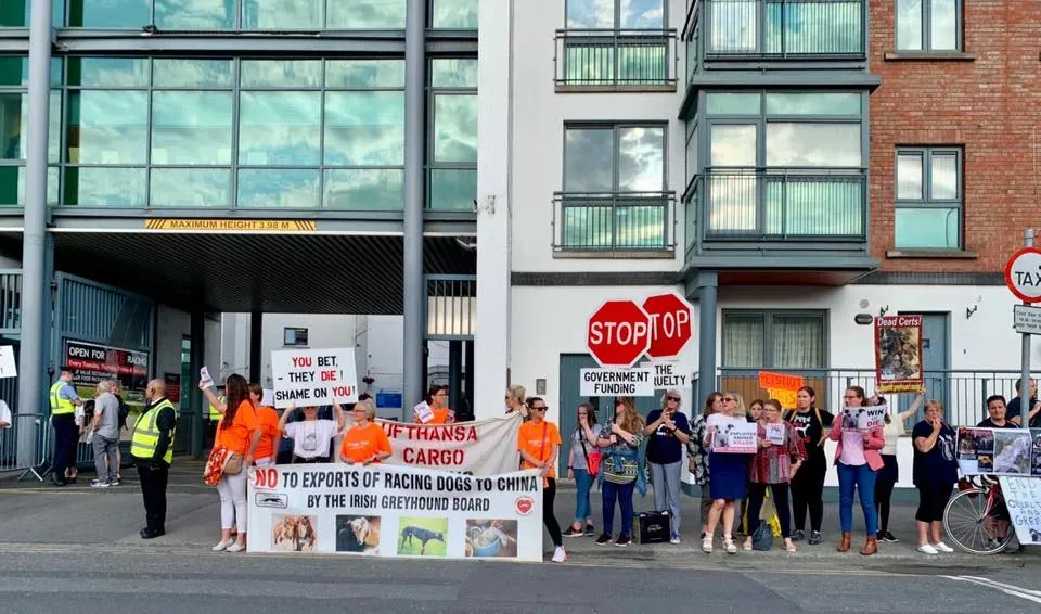 66187494 10213691522301537 7856041491339149312 n