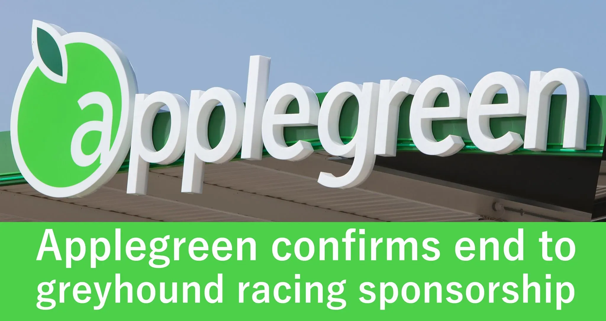 66211834 2294505833998295 5382409545983197184 o