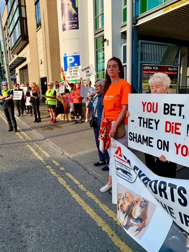 66277405 10213691519701472 566287095765663744 n