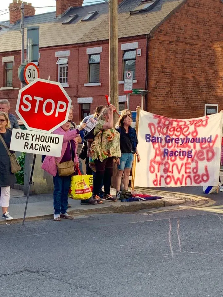 66358777 10213691522061531 3493153810153472000 n