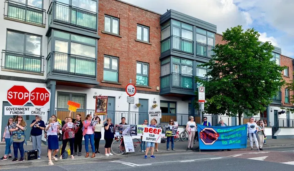 66401817 10213691522741548 5347591019208638464 n