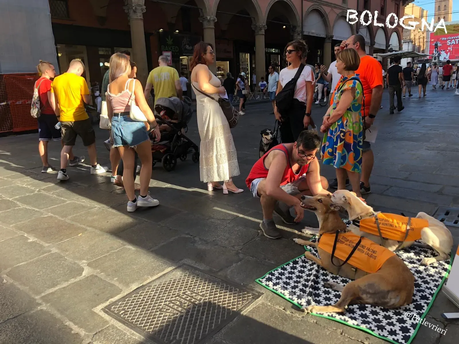 6645cace 0c09 48c2 9c90 5539545ef5bc risultato