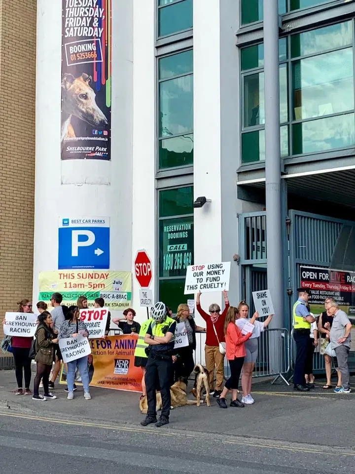 66467140 10213691523061556 7554422997751169024 n