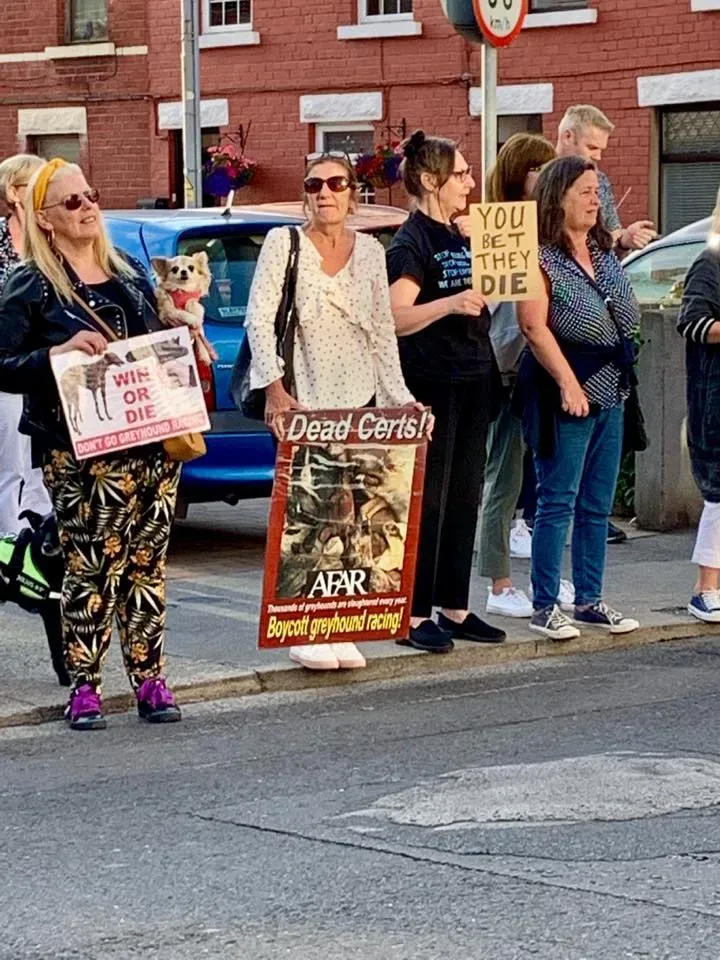 66481638 10213691521061506 8478124232369242112 n