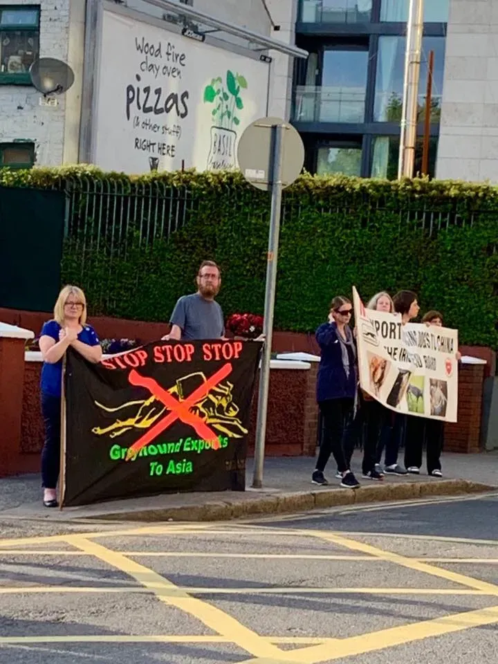 66503922 10213691519901477 7483084140720422912 n