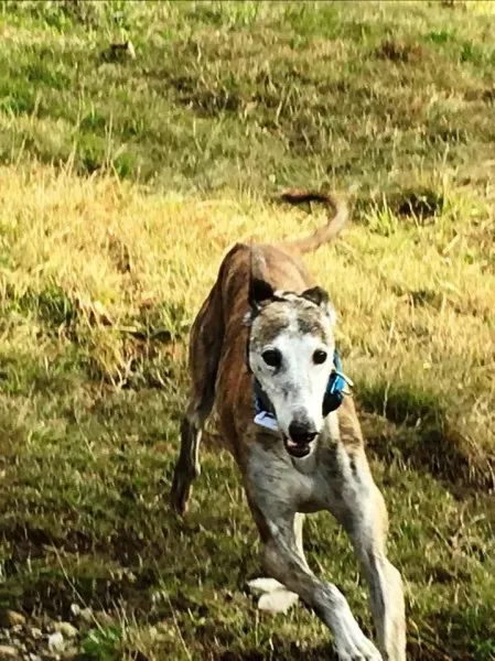 66576 10208516670265370 1168070218269876394 n