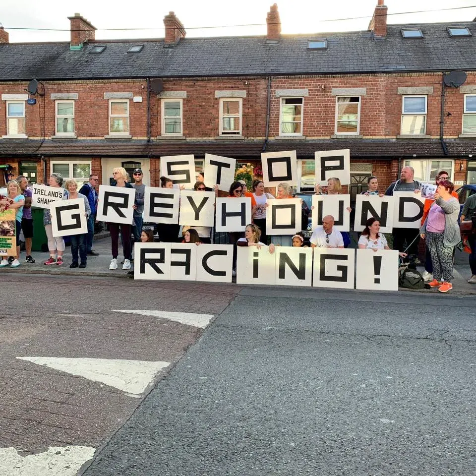 66670518 10213691521821525 6323810284993511424 n