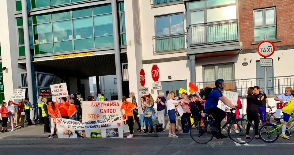 66722995 10213691523541568 987517198731837440 n