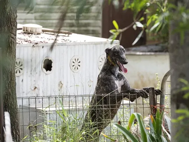 667840 35661886 d9a6 11e4 bf00 4d5fe57f7b86