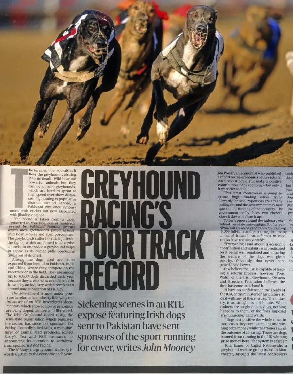 66827789 2299259273522951 546236079598993408 o