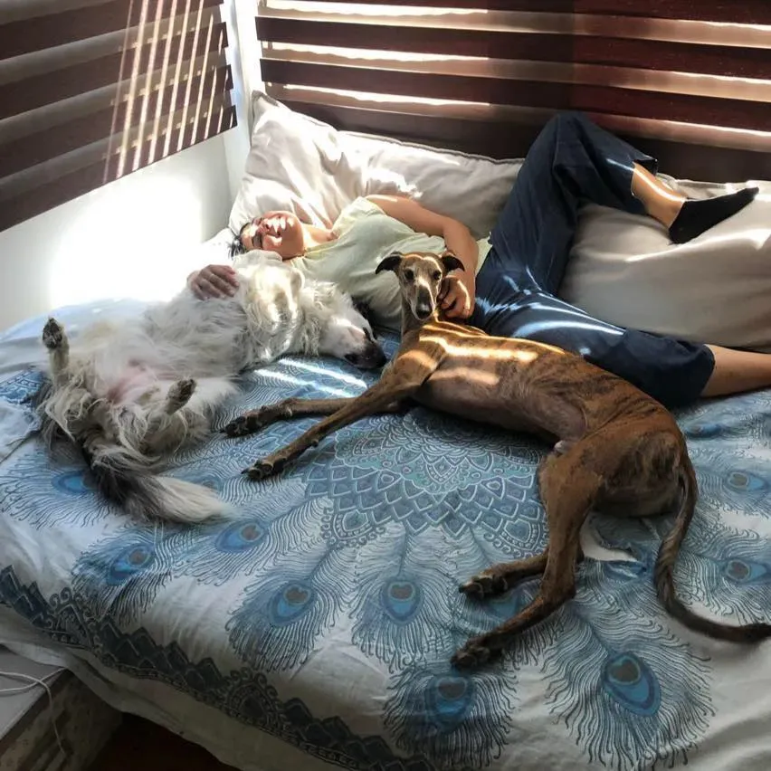 66828988 10156648311128246 6612612720724279296 n