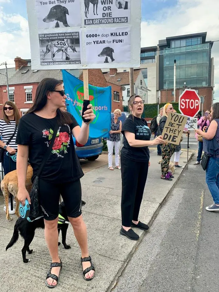 66831936 10213691524501592 8764817160552841216 n