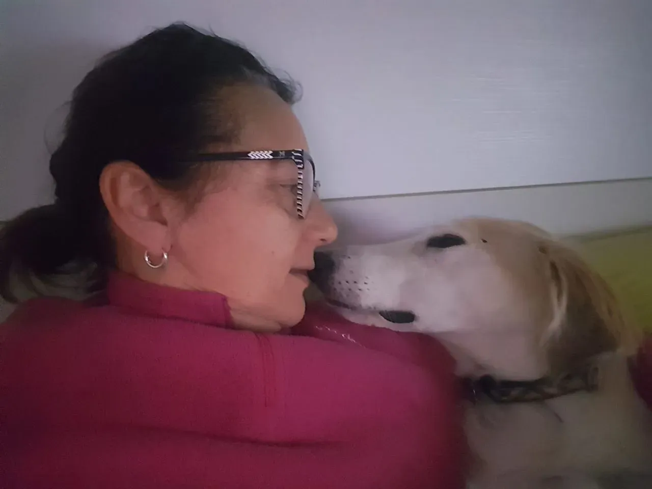 66844445 2432414870112213 4040242363451310080 o