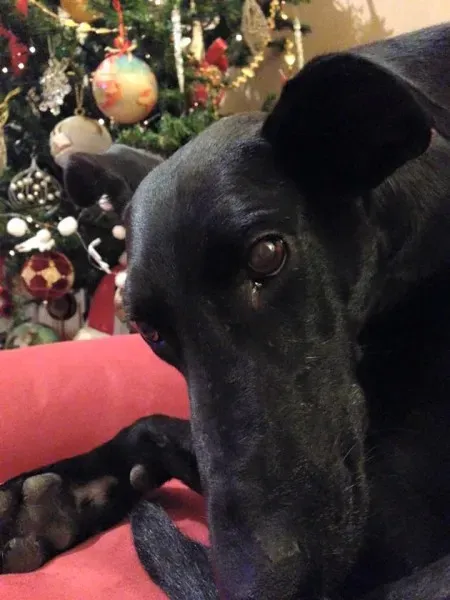 66878 10207825786193415 1382207088817435099 n