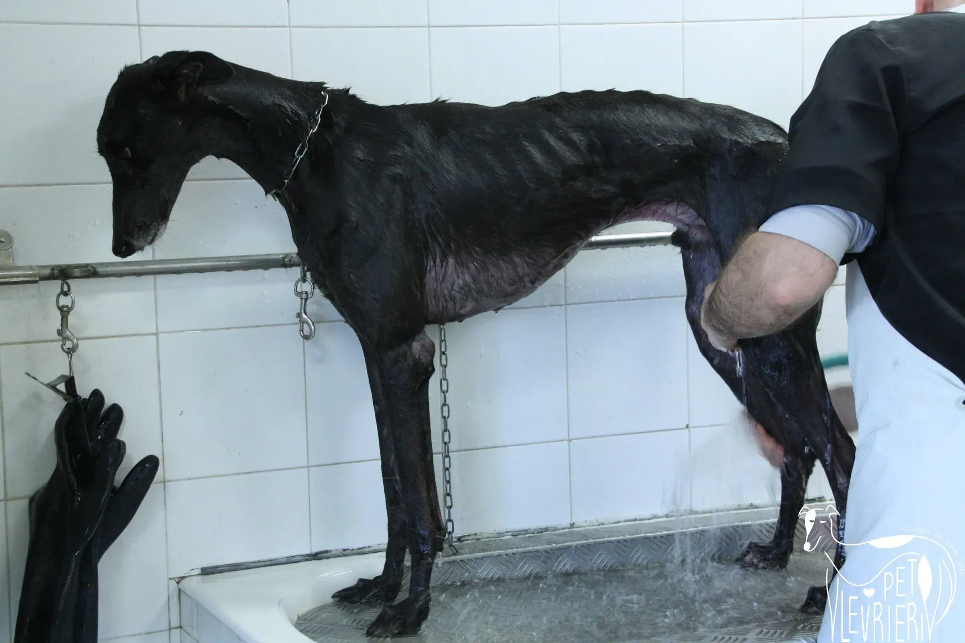 66CA540B AFA3 4D14 9B6E 114F4FD81399