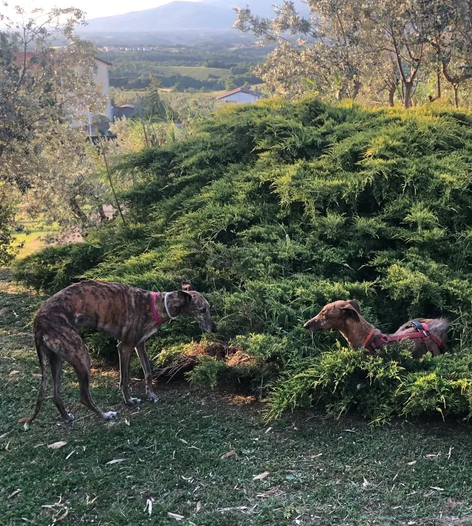 66da0bb0 7bd2 4457 b3c7 c39f3e05e731