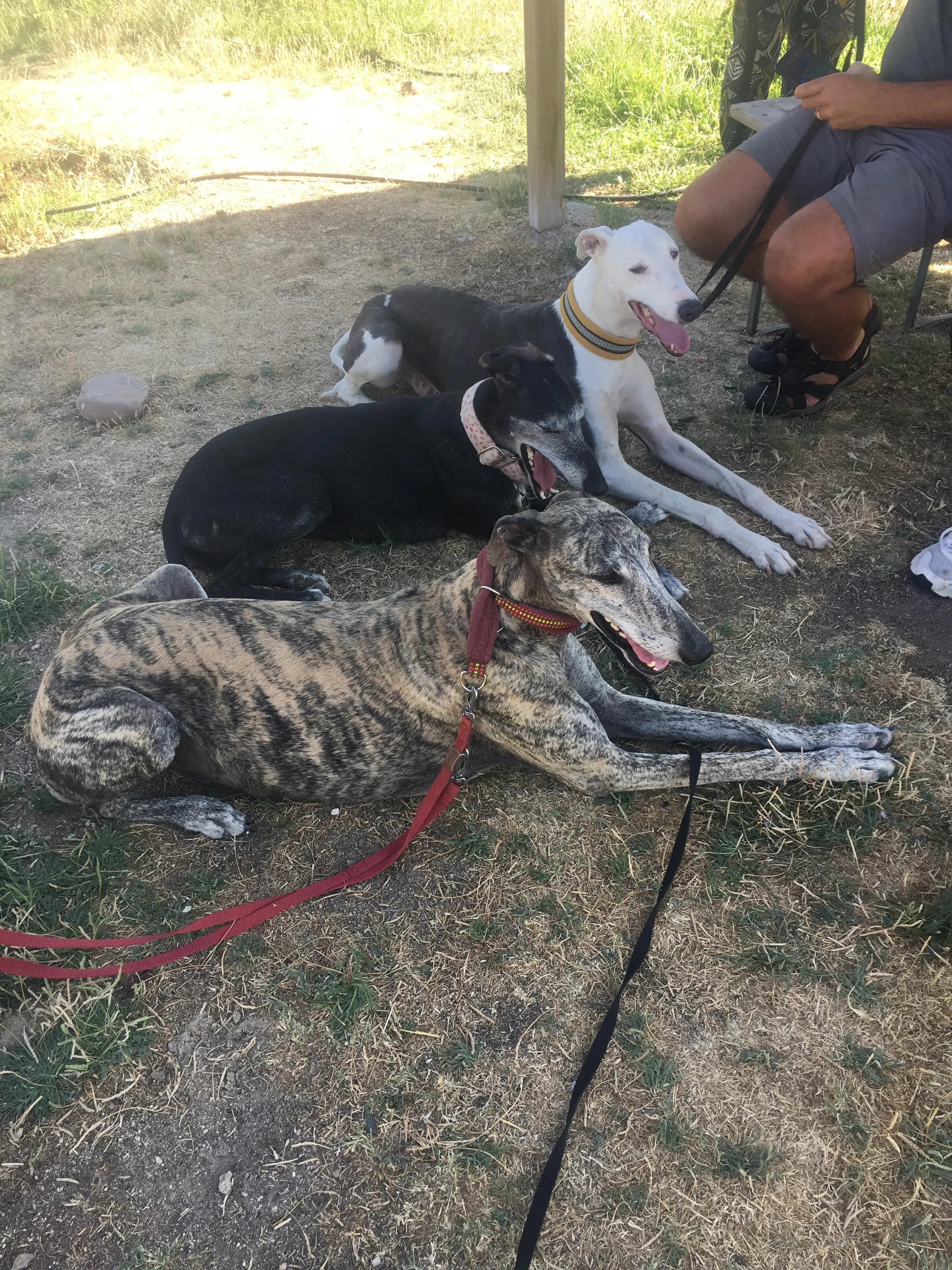 67058753 2419866554925077 4535849256895905792 n